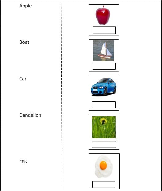Learning to Read and Making Connections