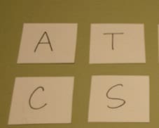 Fun phonics activities for letter sounds