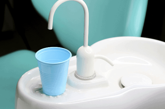 Dentist-5