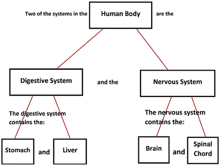 concept-map