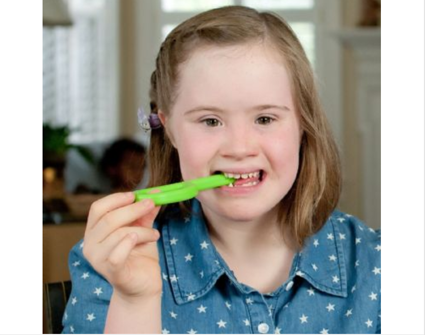 oral motor chew toys