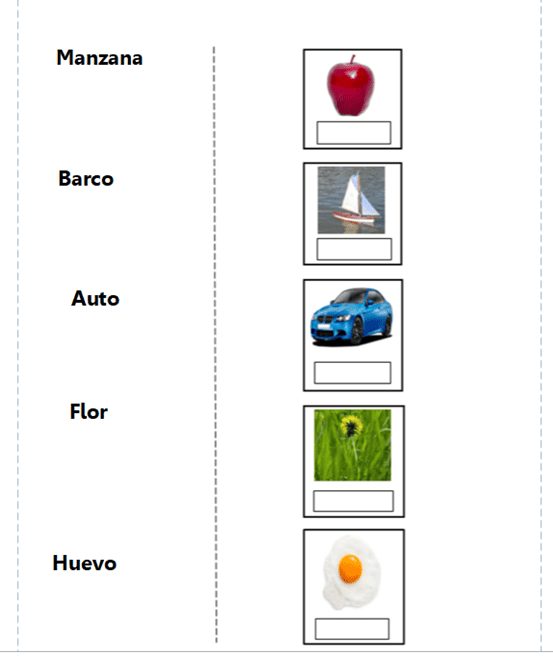 Corta cada palabra y combínala con la imagen correcta