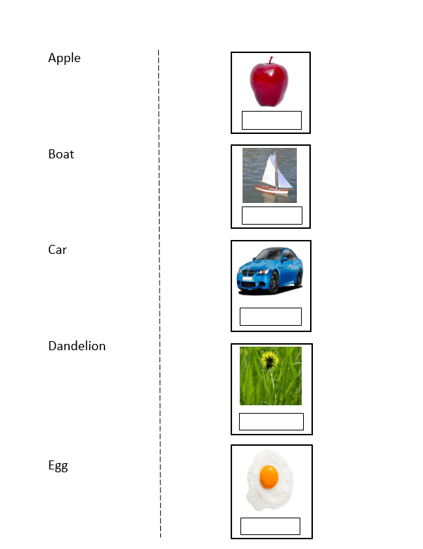 behavior strategies for autism spectrum disorder