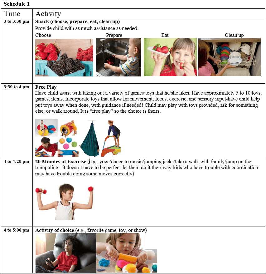 Schedule 1