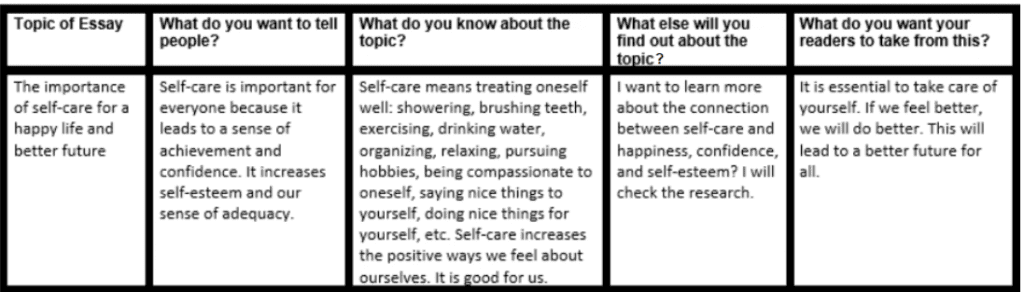 Sample Graphic Organizer