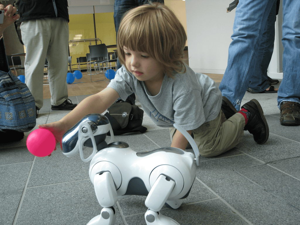 a basic understanding of robotics
